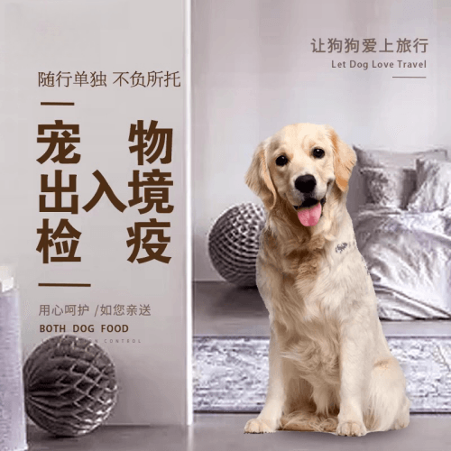 漯河市宠物托运到哥伦比亚猫狗宠物入境规定和