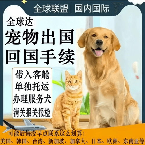 漯河市宠物托运到柬埔寨宠物入境规定和要求