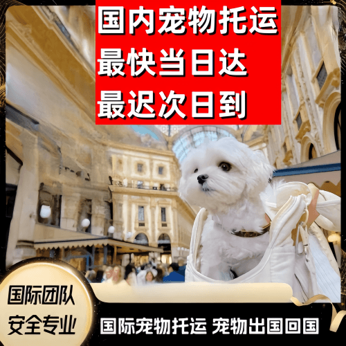 漯河市到澳大利亚（澳洲）宠物入境规定和要求